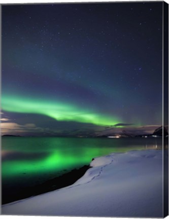 Framed Aurora Borealis over Vagsfjorden in Troms County, Norway Print