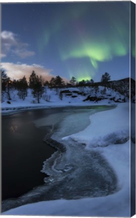 Framed Aurora Borealis over Tennevik River, Troms, Norway Print