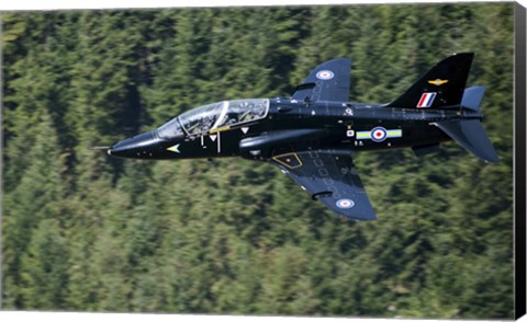 Framed Hawk T1 trainer aircraft of the Royal Air Force flying over a forest in North Wales Print