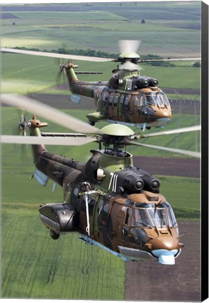 Framed Pair of Bulgarian Air Force Eurocopter AS532 AL Cougar helicopters Print