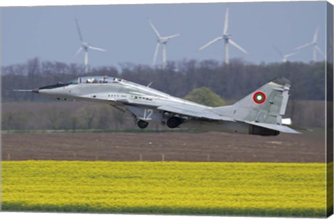 Framed Bulgarian Air Force MiG-29UB aircraft taking off Print