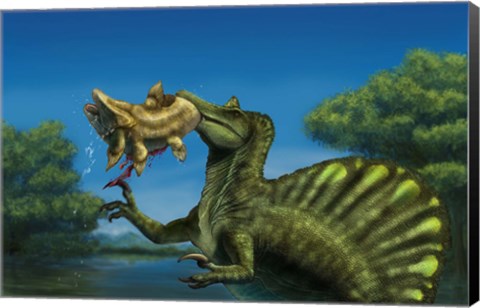 Framed Spinosaurus dinosaur fishing Mawsonias in a mangrove Print