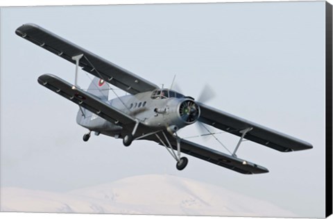 Framed Bulgarian Air Force Antonov An-2 in flight over Bulgaria Print