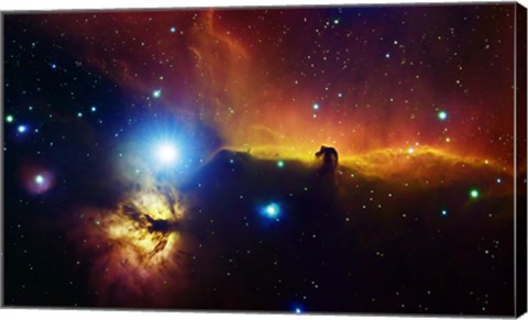 Framed Alnitak region in Orion with Flame Nebula (NGC 2024), and Horsehead Nebula Print