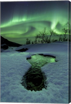 Framed Aurora Borealis over a frozen river, Norway Print