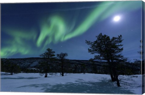 Framed Aurora Borealis, Forramarka, Troms, Norway Print
