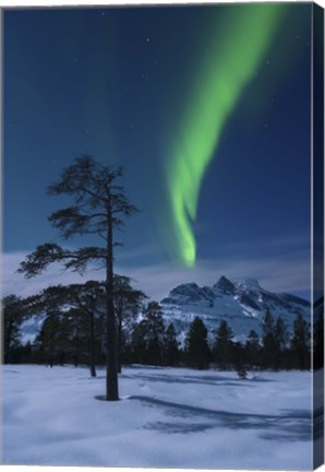 Framed Moonlight and aurora over Nova Mountain Wilderness, Norway Print