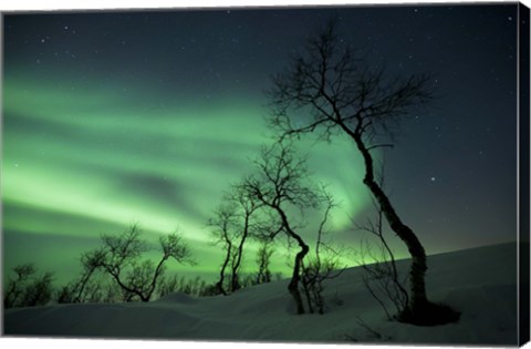 Framed Northern Lights in the arctic wilderness, Nordland, Norway Print