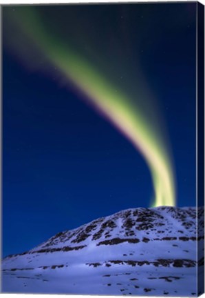 Framed aurora borealis shooting up from Toviktinden Mountain, Norway Print