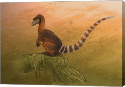 Framed Sinosauropteryx dinosaur resting on a log Print