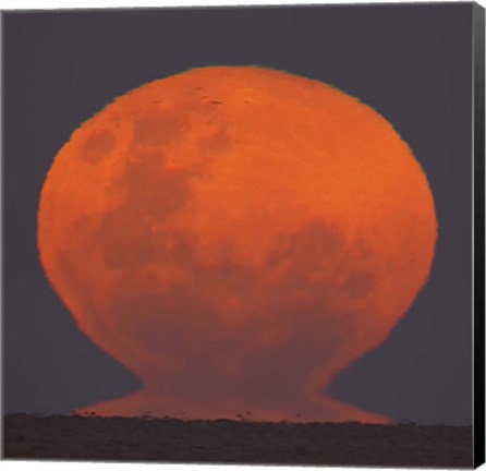 Framed Thunder&#39;s Moon rising over Rio de La Plata, Argentina Print