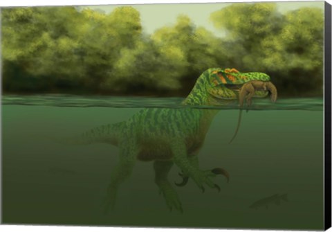 Framed Baryonyx escapes swimming from a brawl with a Hypsilophodon in his mouth Print