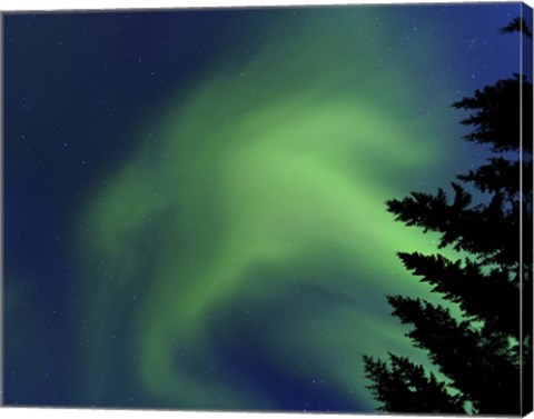 Framed Aurora Borealis in Troms County, Norway Print