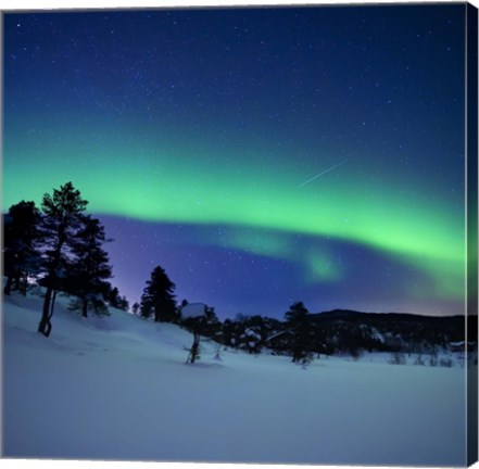 Framed Aurora Borealis and a shooting star in the woods of Troms County, Norway Print