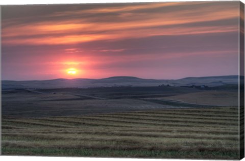 Framed Setting sun over harvested field, Gleichen, Alberta, Canada Print