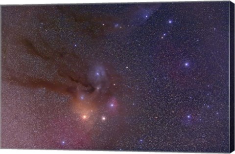 Framed Antares and Scorpius Head area with Rho Ophiuchi nebulosity Print