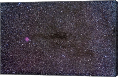 Framed Cocoon Nebula in the constellation Cygnus Print