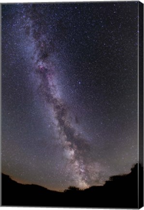 Framed summer Milky Way in southern Alberta, Canada Print