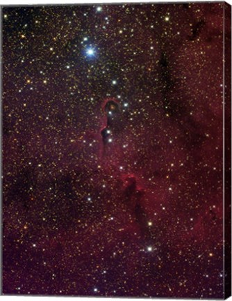 Framed Elephant&#39;s trunk nebula inside IC 1396 Print