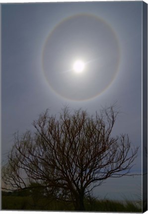 Framed 22 degrees halo around the 2013 supermoon Print