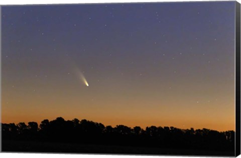 Framed Comet Panstarrs at twilight,  Buenos Aires, Argentina Print