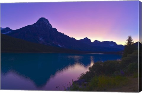 Framed Twilight at Mt Cephren, Waterfowl Lakes, Banff National Park, Alberta, Canada Print