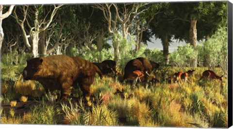 Framed Diprotodon on the edge of a Eucalyptus forest with some early kangaroos Print