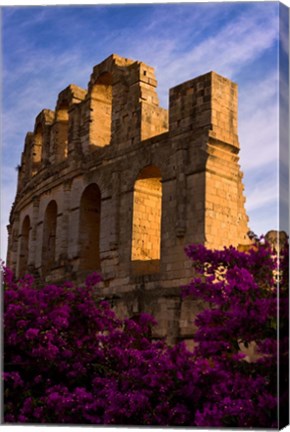 Framed Ancient Roman Amphitheater with flowers, El Jem, Tunisia Print