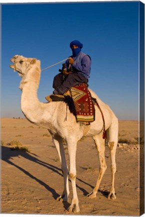 Framed Bedouin man on camel, Douz, Sahara Tunisia, Africa Print