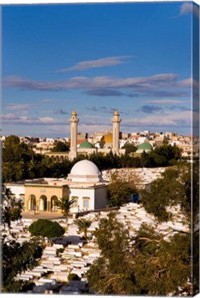 Framed Bourguiba Mausoleum and cemetery in Sousse Monastir, Tunisia, Africa Print