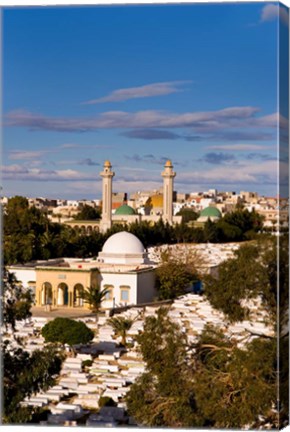 Framed Bourguiba Mausoleum and cemetery in Sousse Monastir, Tunisia, Africa Print