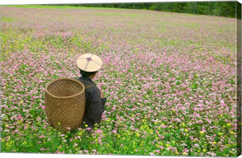 Framed Farmer in Farmland of Canola and Buckwheat, Bumthang, Bhutan Print