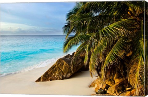 Framed Ansi Victorin Beach, Seychelles Print