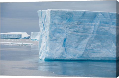 Framed Antarctica, Antarctic Sound. Tabular icebergs. Print