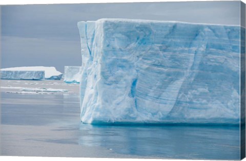 Framed Antarctica, Antarctic Sound. Tabular icebergs. Print