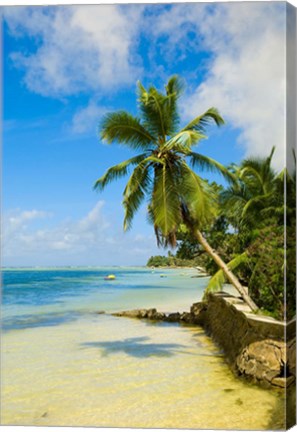 Framed Clear Waters on Mahe Island, Seychelles, Africa Print