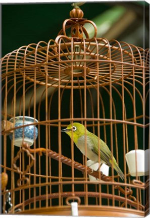 Framed Hong Kong, Bird Garden, Market, Caged pet birds Print