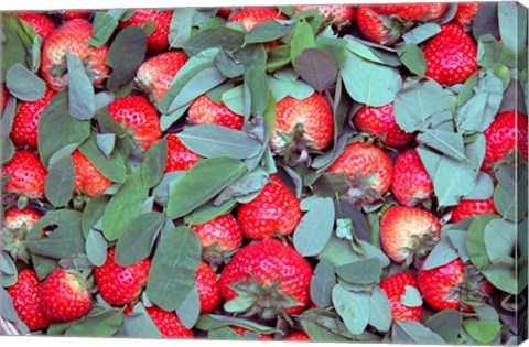 Framed China, Chongqing, Strawberries in fruit market Print