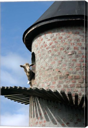 Framed Fairview winery, goat tower, Paarl, South Africa Print