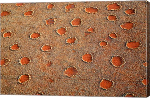 Framed Fairy circles dotting the landscape of the Namib-Rand Nature Reserve, Sossusvlei, Nambia Print