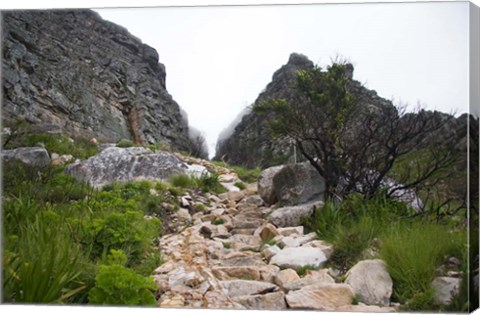 Framed Hiking Up Table Mountain, Cape Town, Cape Peninsula, South Africa Print