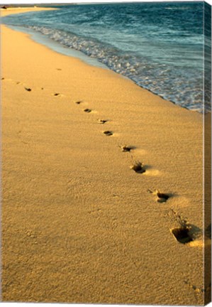 Framed Footprints in the Sand, Mauritius, Africa Print