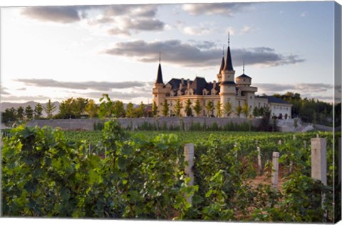 Framed Chateau Changyu AFIP Global winery, Ju Gezhuang Town, China Print