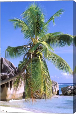 Framed Granite Outcrops, La Digue Island, Seychelles, Africa Print