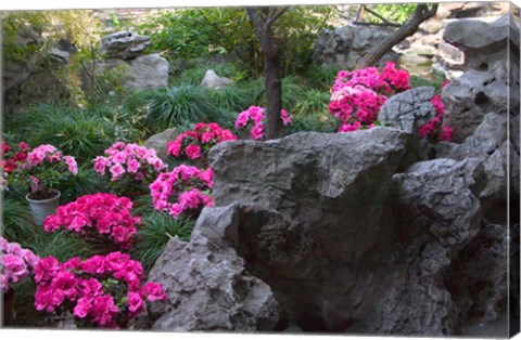 Framed Flowers and Rocks in Traditional Chinese Garden, China Print