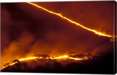 Framed Forest Fire, Gombe National Park, Tanzania Print