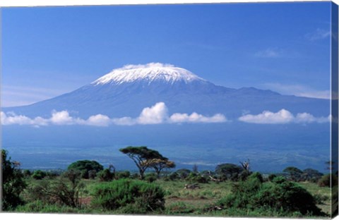 Framed Africa, Tanzania, Mt Kilimanjaro, landscape and zebra Print