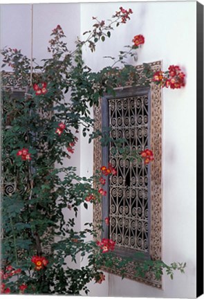 Framed Courtyard with Zellij (Mosaic Tilework), Marrakech, Morocco Print