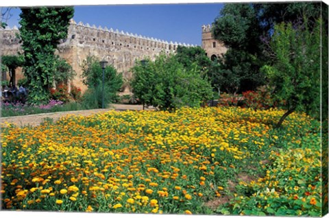 Framed Gardens and Crenellated Walls of Kasbah des Oudaias, Morocco Print