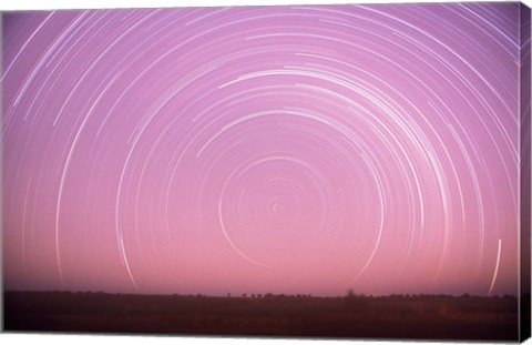 Framed Africa, Botswana, Linyanti Swamps. Star trails Print